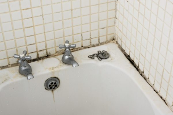 Откуда плесень на герметике в ванной и как ее убрать навсегда